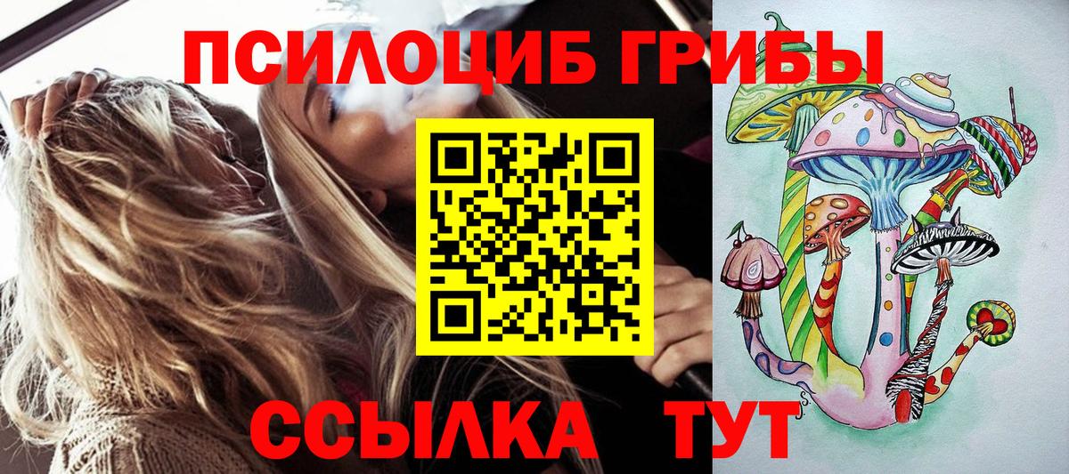 Галлюциногенные грибы Psilocybe  Псилоцибиновые грибы прущие грибы  Вход с VPN  Тихвин 